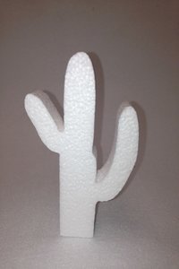 Cactus , verschillende afmetingen